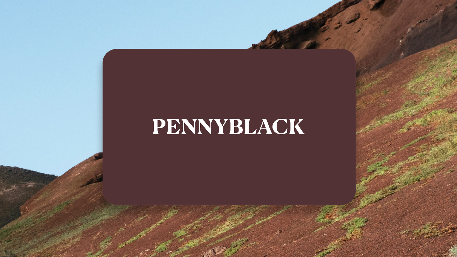 3 Pennyblack
